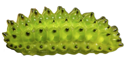 Green Green