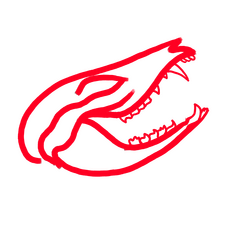 A bright red possum skull sketch, it links to my blog tag 'fave art'